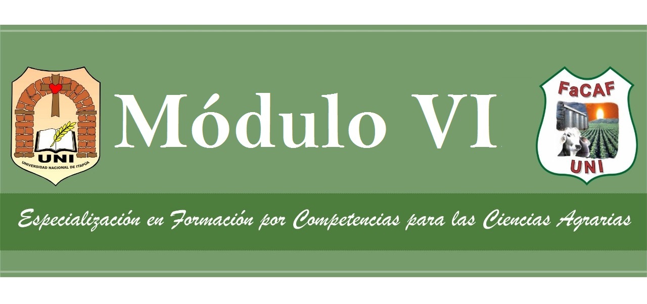 MÓDULO VI - RETROALIMENTACIÓN ACTIVA