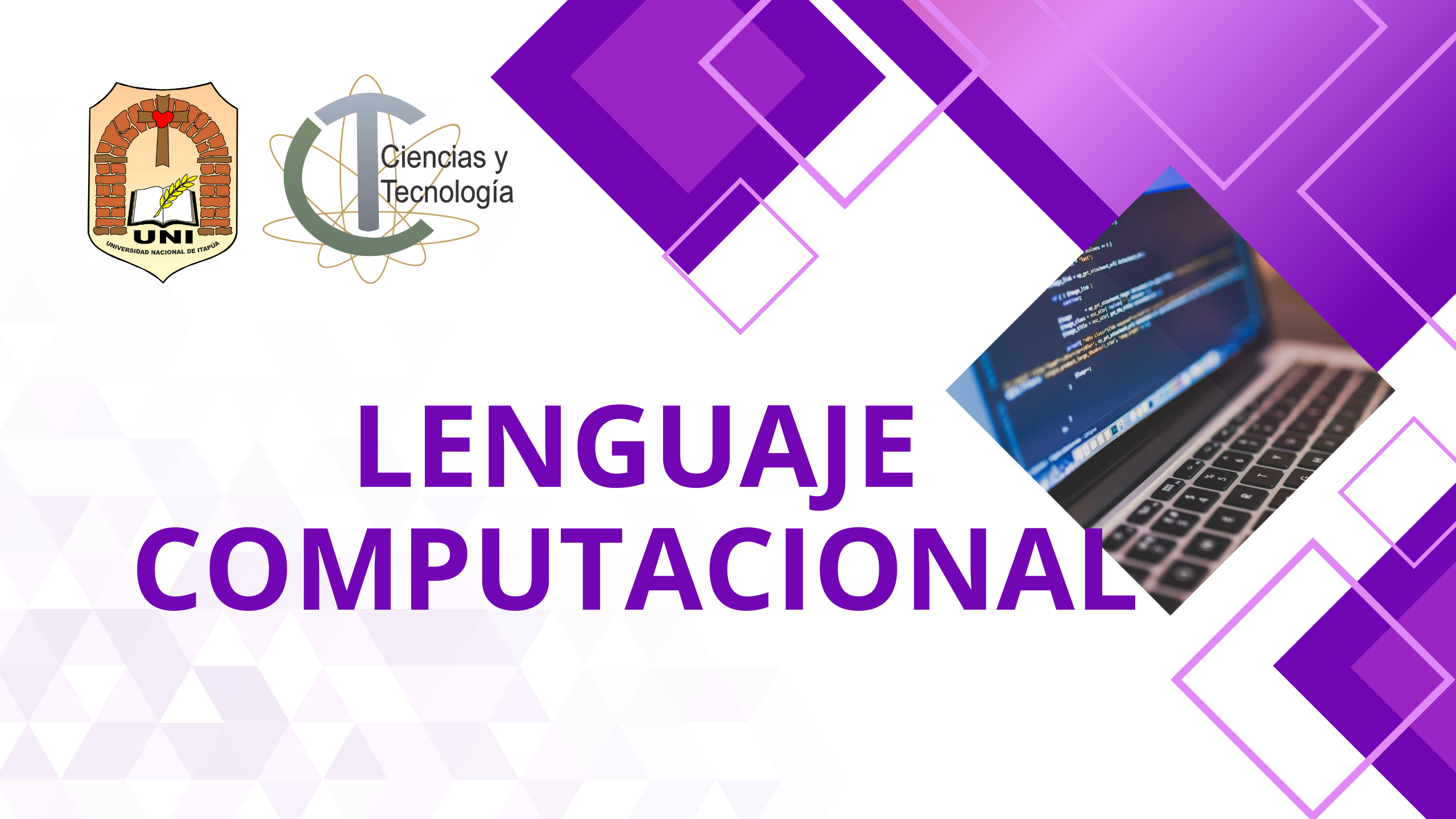 Lenguaje Computacional