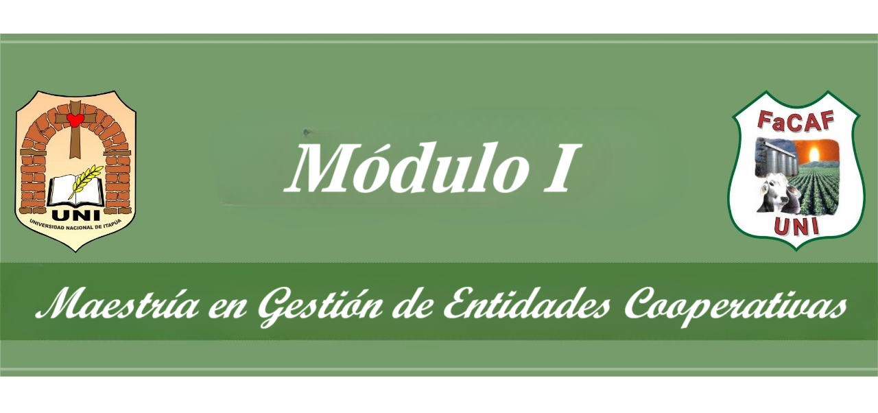 Balance social cooperativo