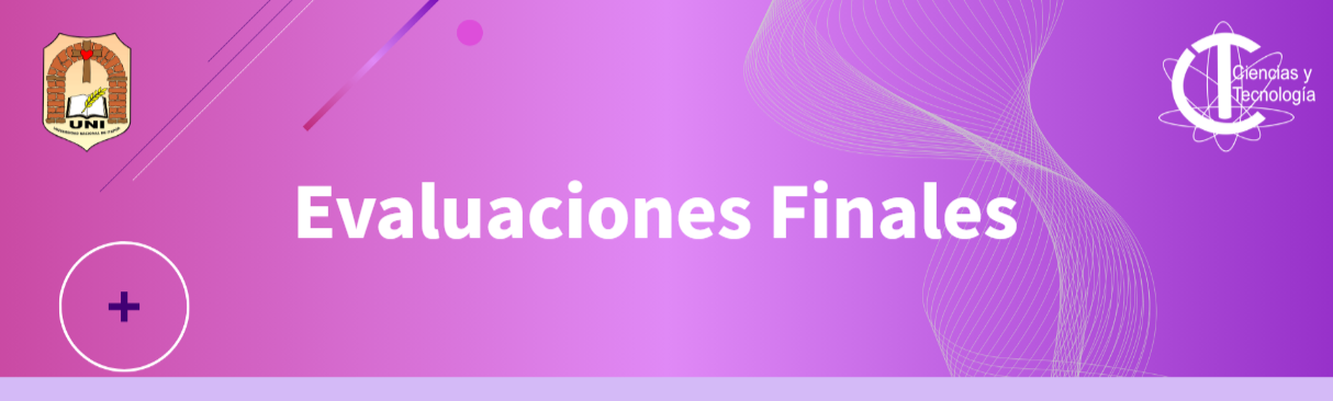 Evaluaciones Finales 2025